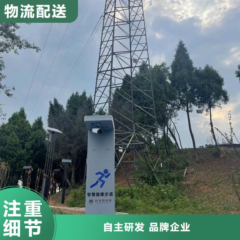 智慧绿道方案厂家（维艾狄尔）