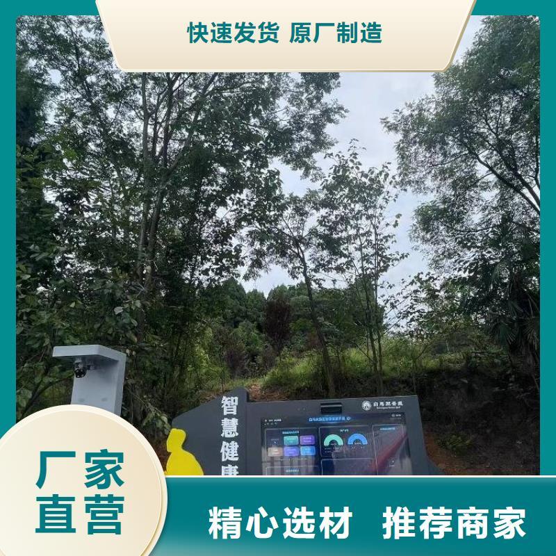 智慧AI虚拟马拉松跑道严选材质