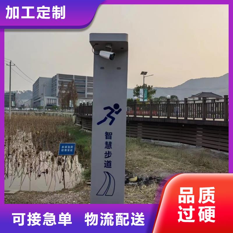 智慧AI虚拟马拉松跑道严选材质