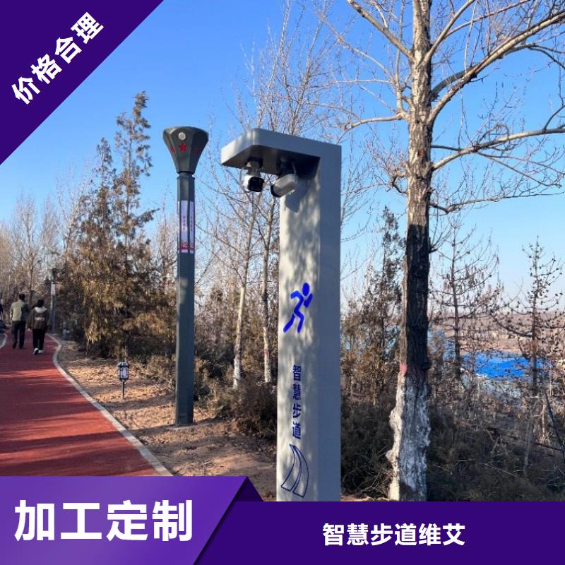 智慧绿道设计方案