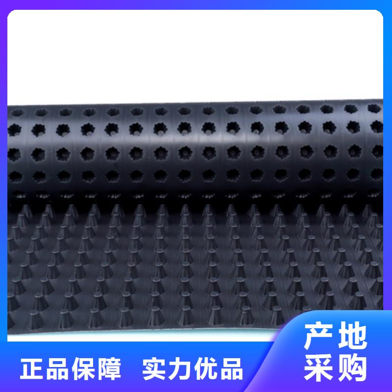 排水板植草格送货上门