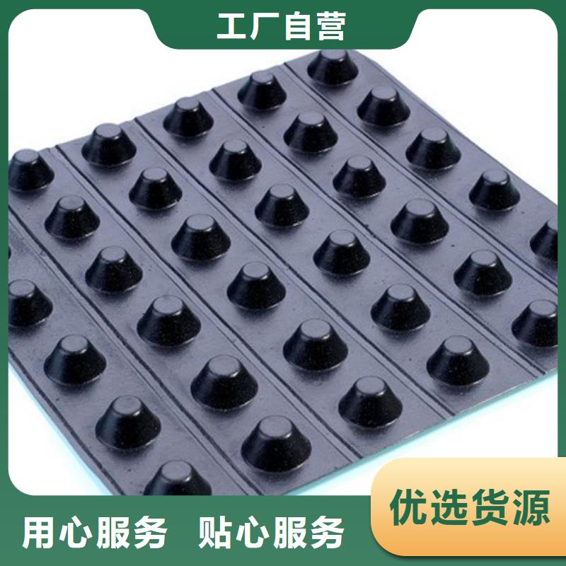 排水板植草格送货上门