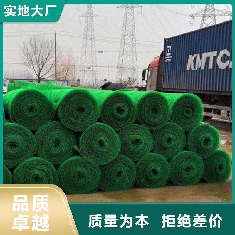 【三维植被网水泥化粪池厂家直销值得选择】