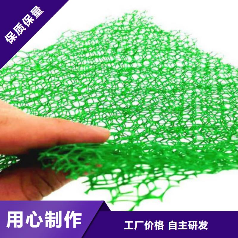 【三维植被网水泥化粪池厂家直销值得选择】