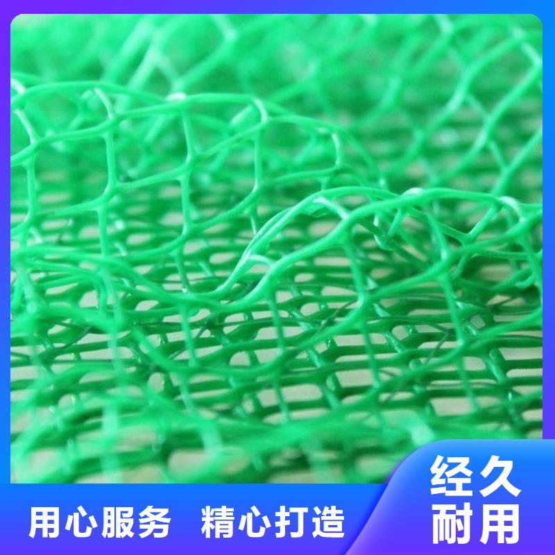 【三维植被网水泥化粪池厂家直销值得选择】