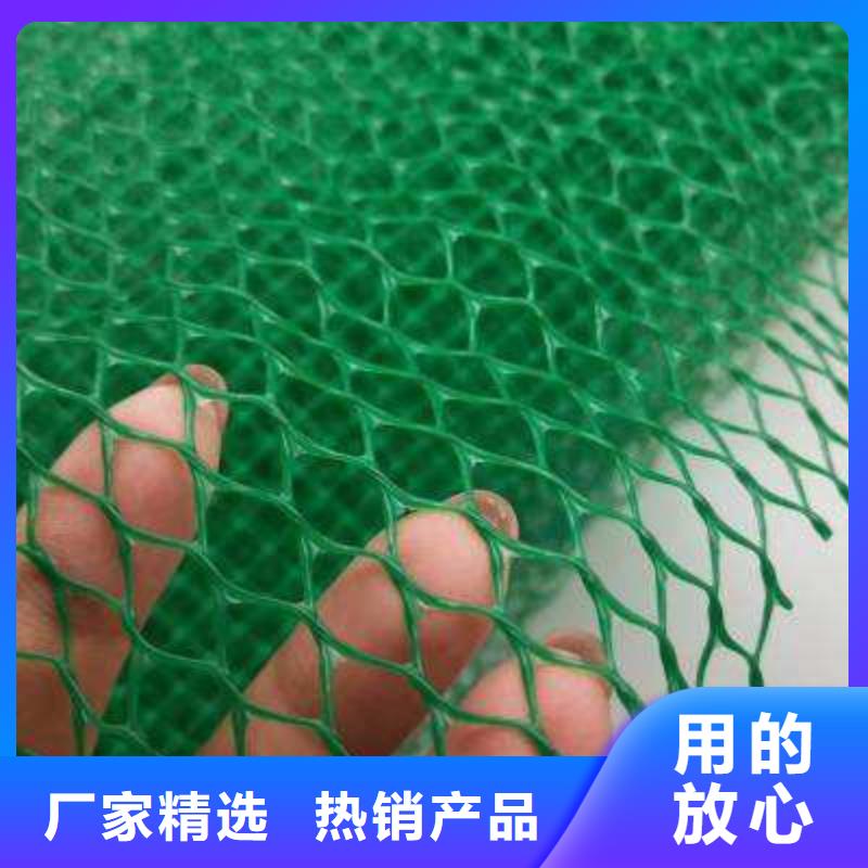 【三维植被网水泥化粪池厂家直销值得选择】