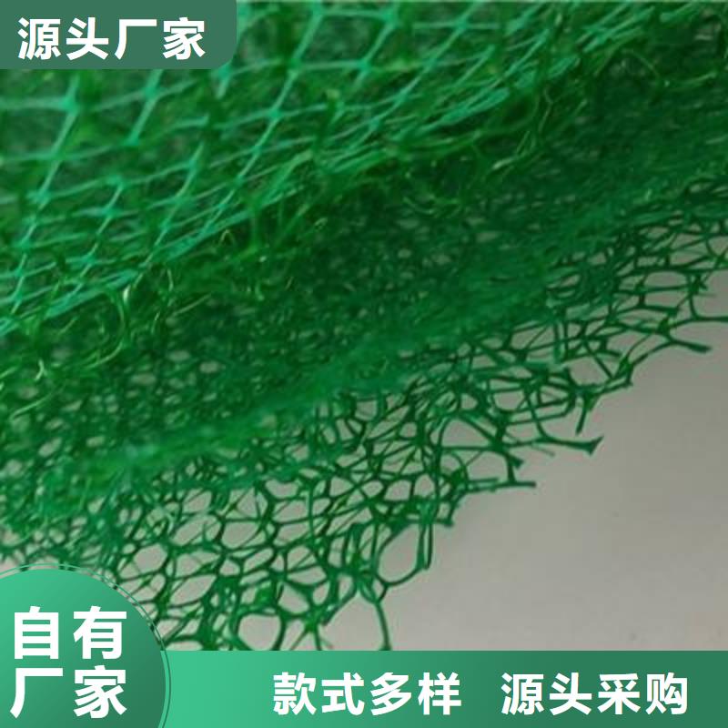 【三维植被网水泥化粪池厂家直销值得选择】