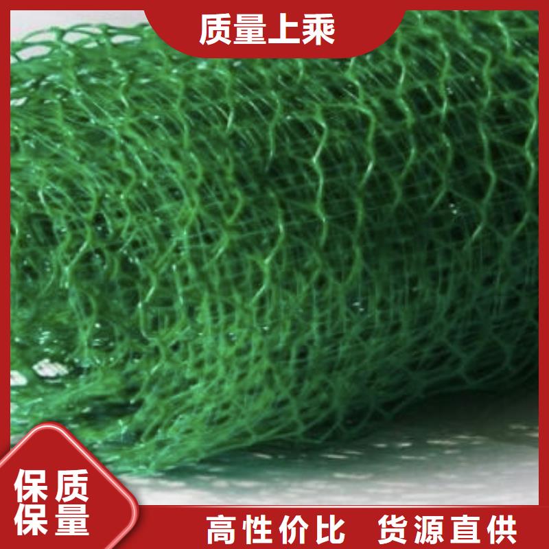 【三维植被网水泥化粪池厂家直销值得选择】