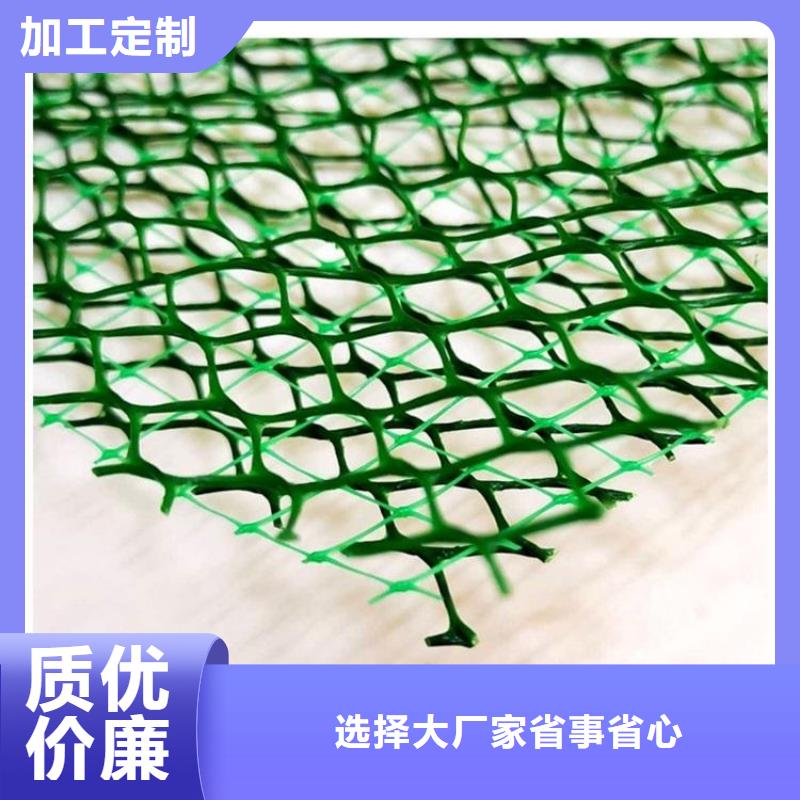 三维植被网防护虹吸排水收集系统款式新颖