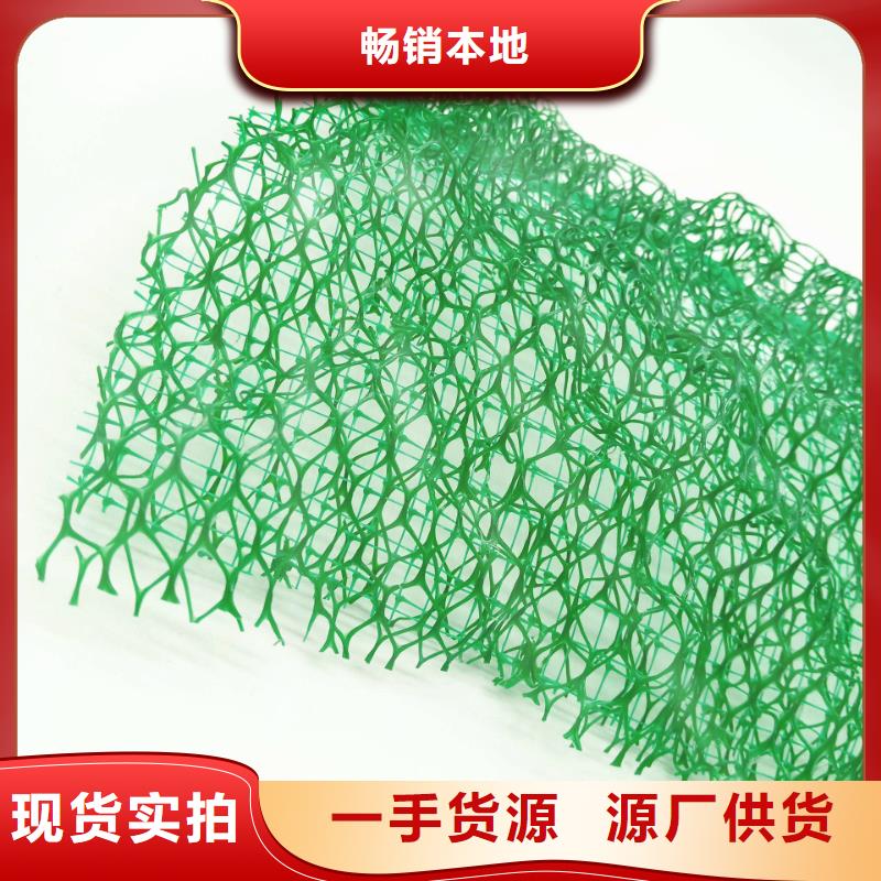 【三维植被网水泥化粪池厂家直销值得选择】