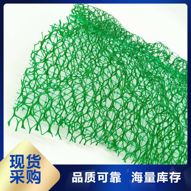 三维植被网防护虹吸排水收集系统款式新颖