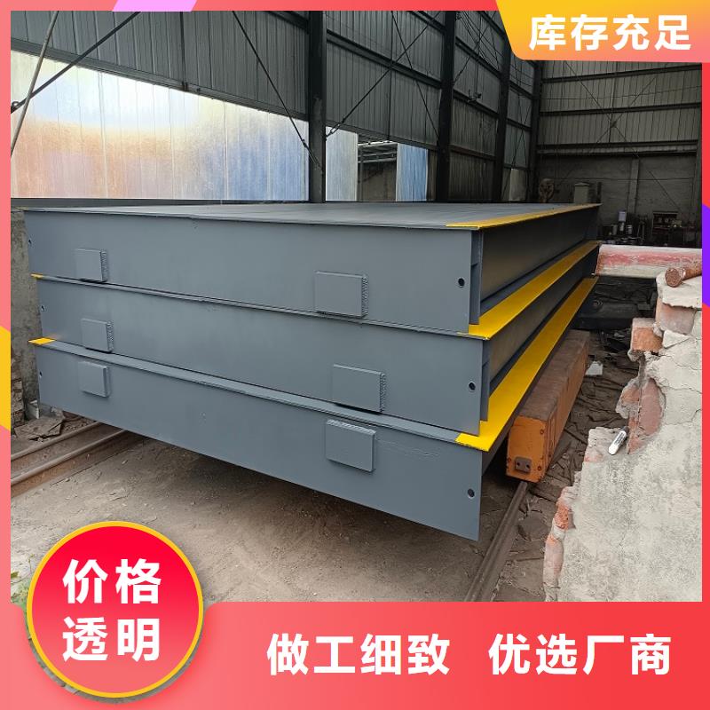 【地磅吊钩秤仪表工厂直营】