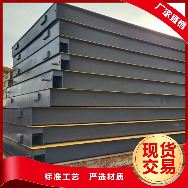 地磅吊钩秤仪表匠心制造