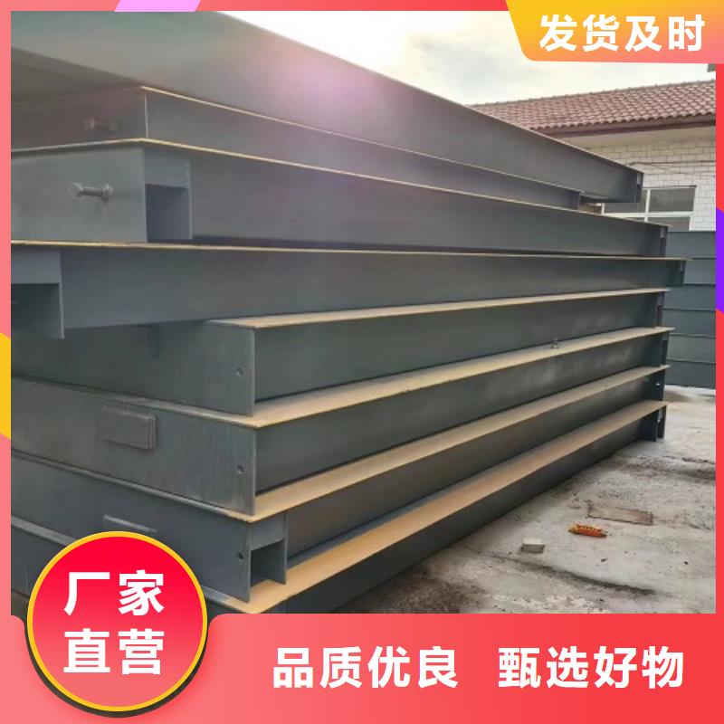 【地磅吊钩秤仪表工厂直营】