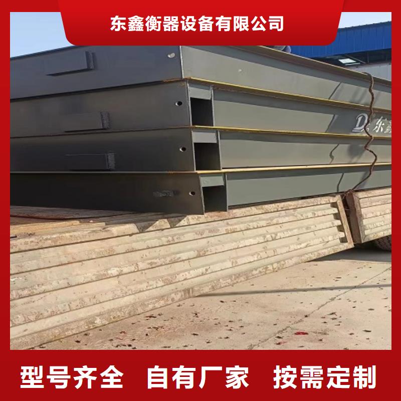 电子地磅_台秤仪表专业按需定制