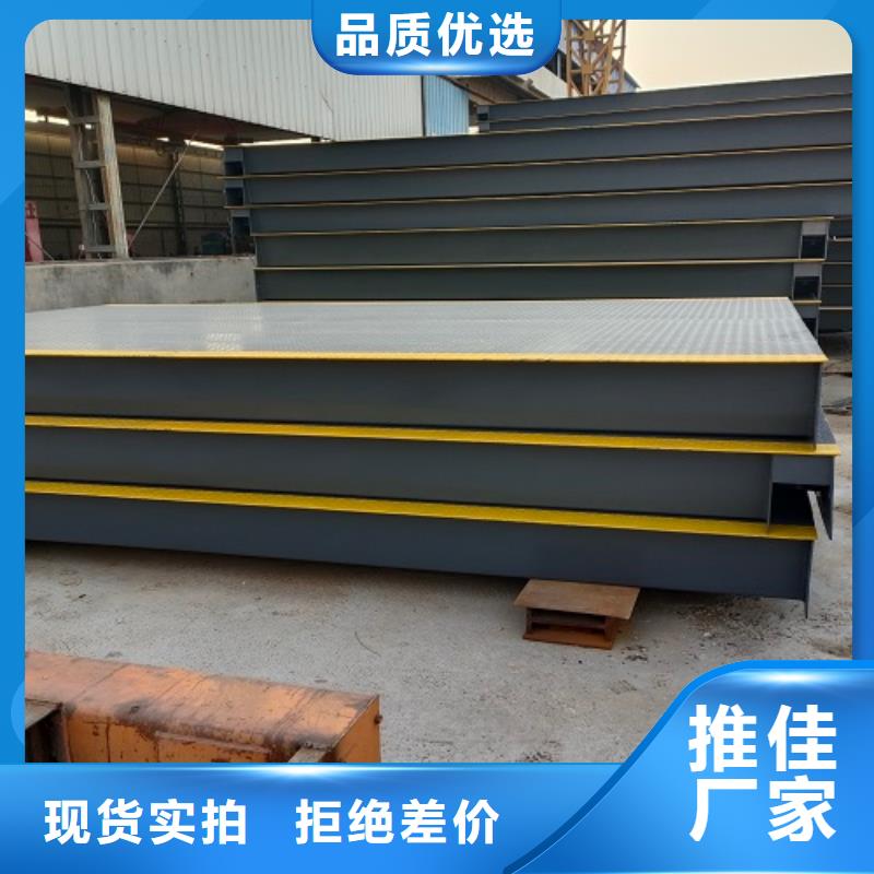 电子地磅 电子平台秤质优价廉