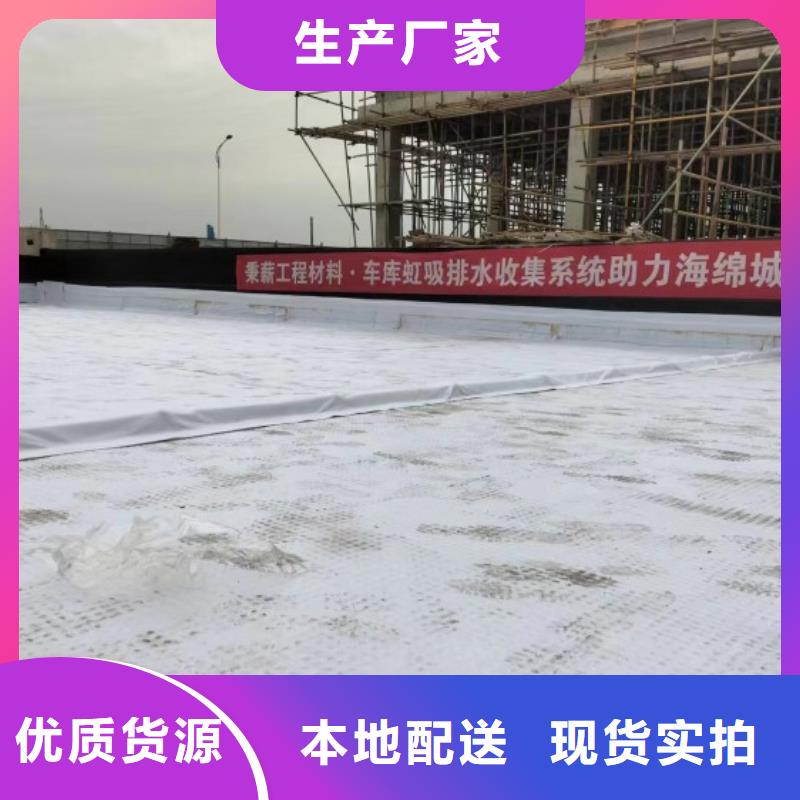 排水板【土工格栅】严选用料