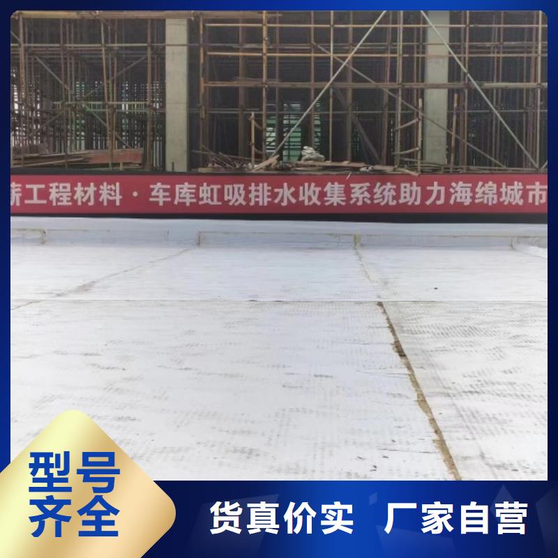排水板-蓄水板精工细作品质优良