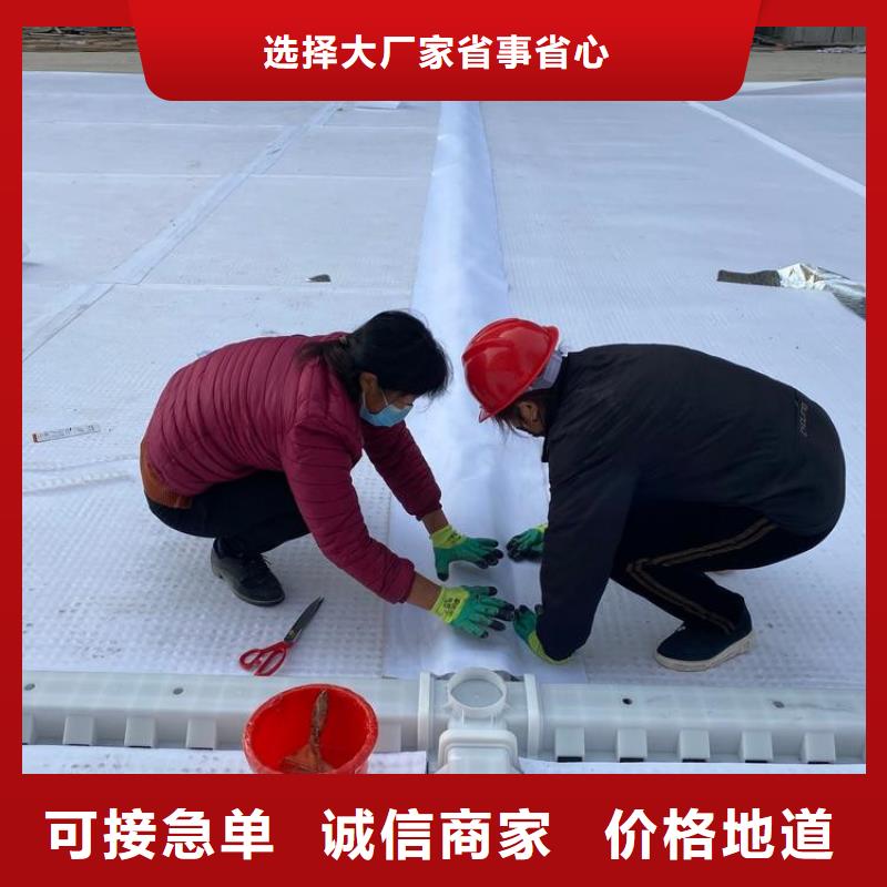 排水板塑料盲沟管高品质诚信厂家