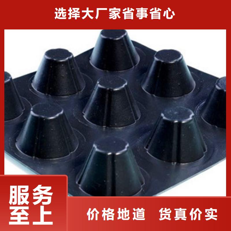 排水板植草格源头采购