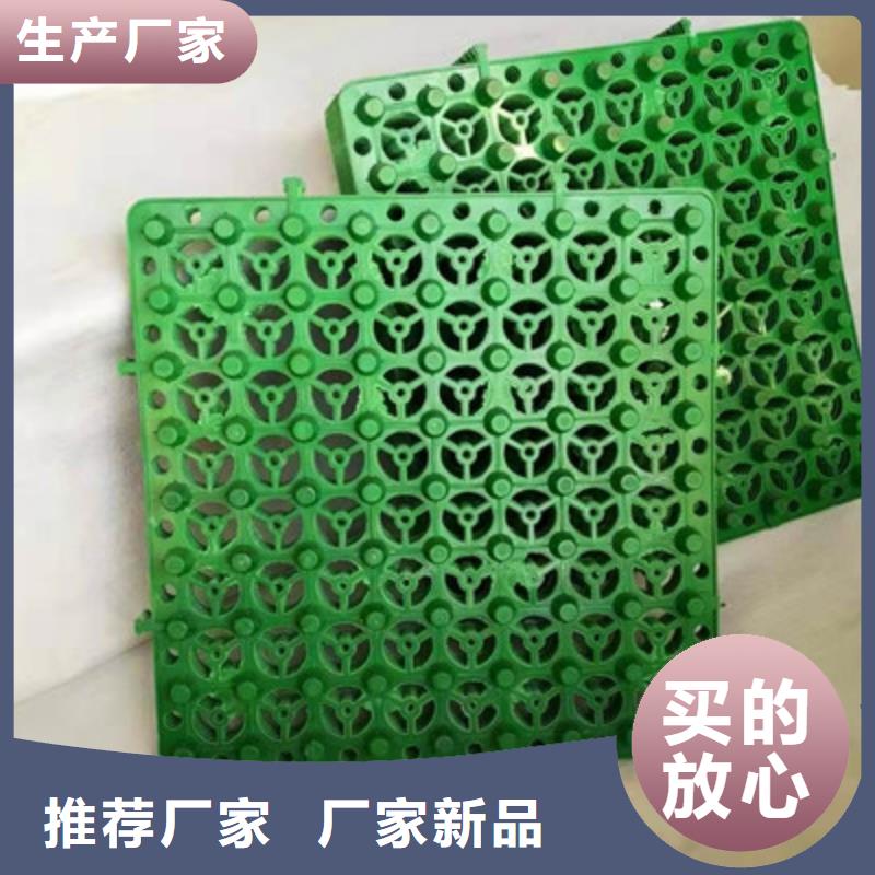 排水板,【塑料排水板】定制速度快工期短