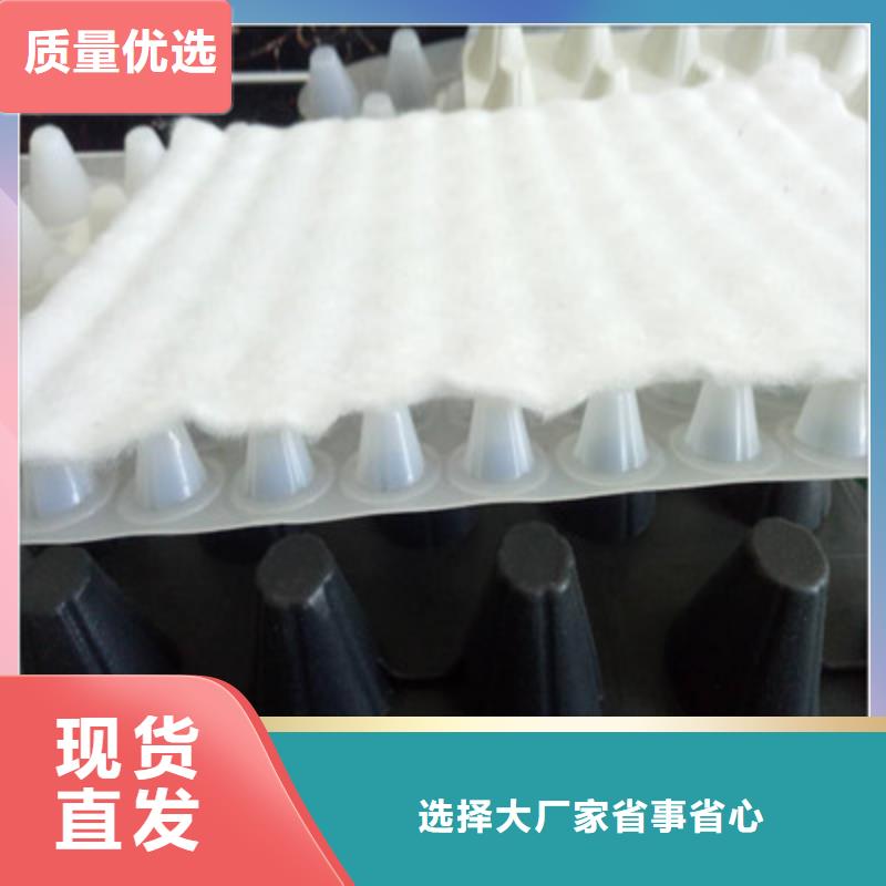 排水板蓄水板源厂直销