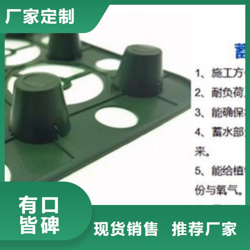 排水板蓄水板源厂直销