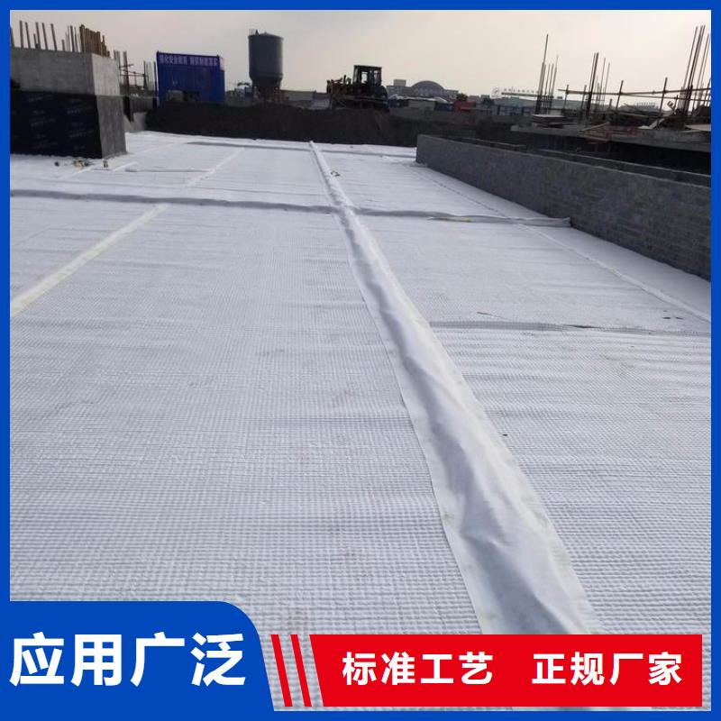 排水板_土工膜厂家品控严格