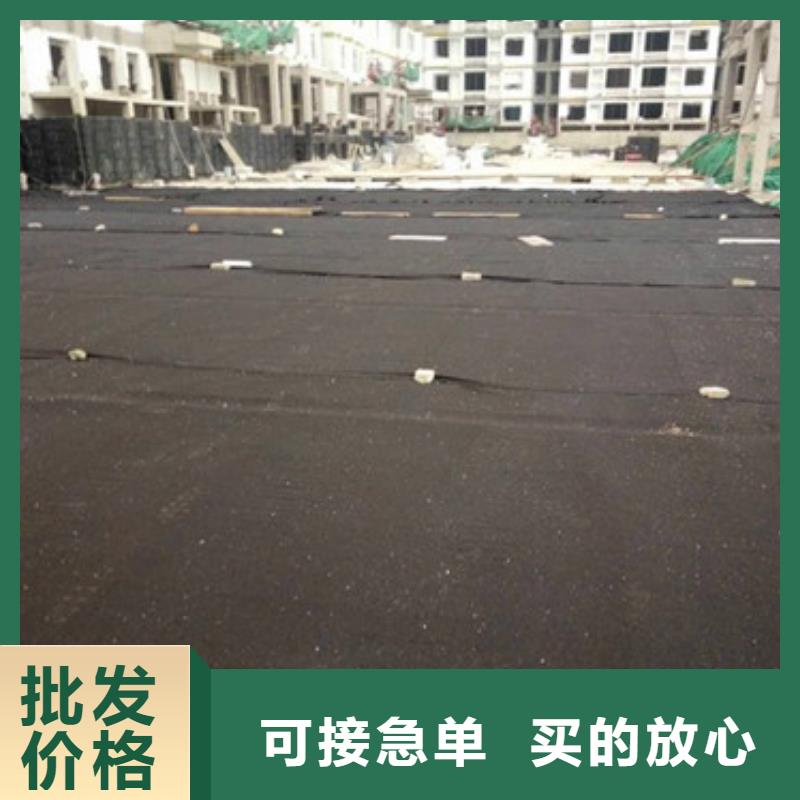 【排水板_植草格支持定制加工】