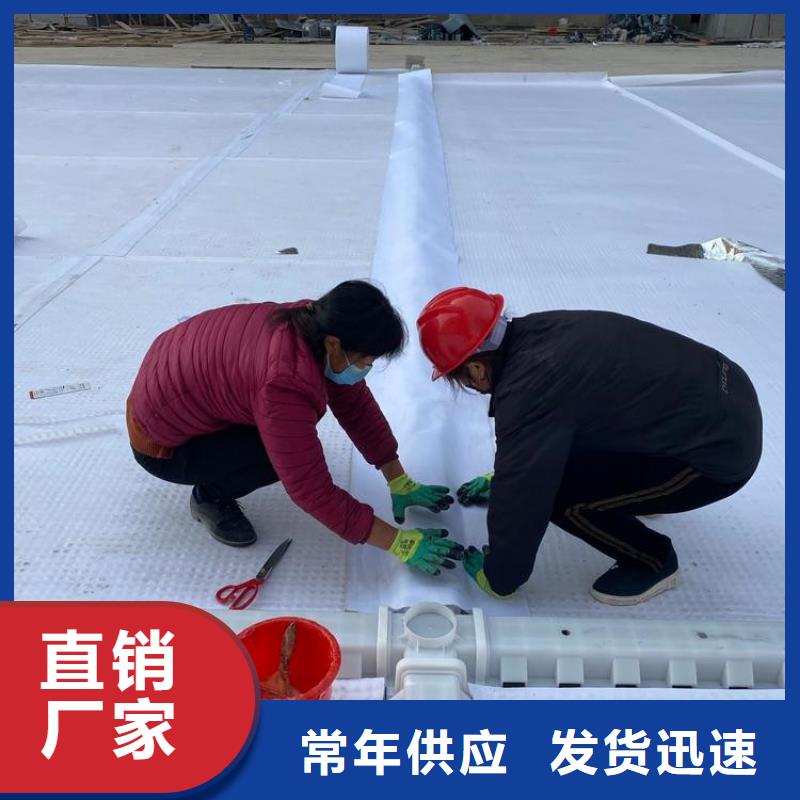 排水板【土工格栅】严选用料