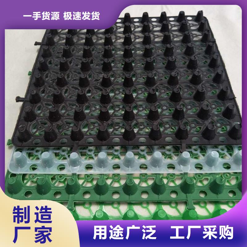 排水板 塑料盲沟管好厂家有担当