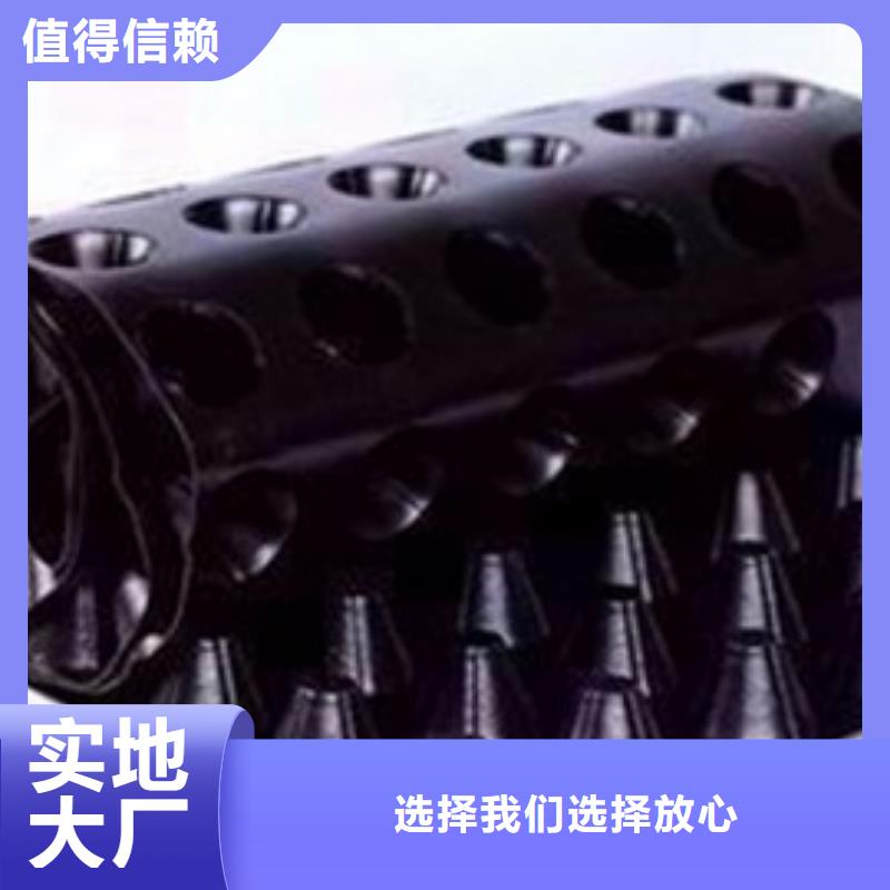 排水板_土工膜厂家品控严格