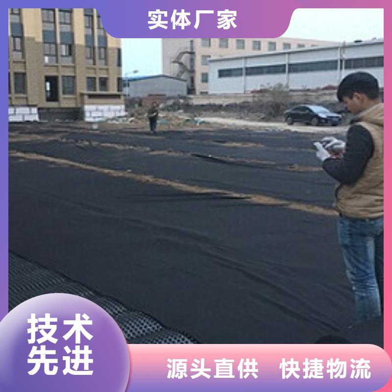 排水板植草格源头采购