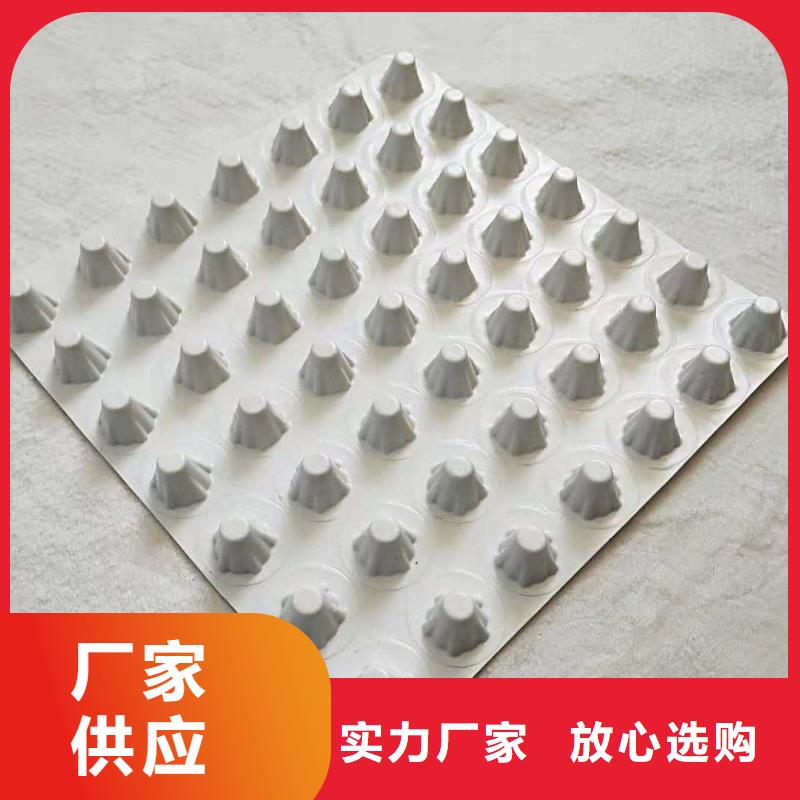 排水板,【塑料排水板】定制速度快工期短