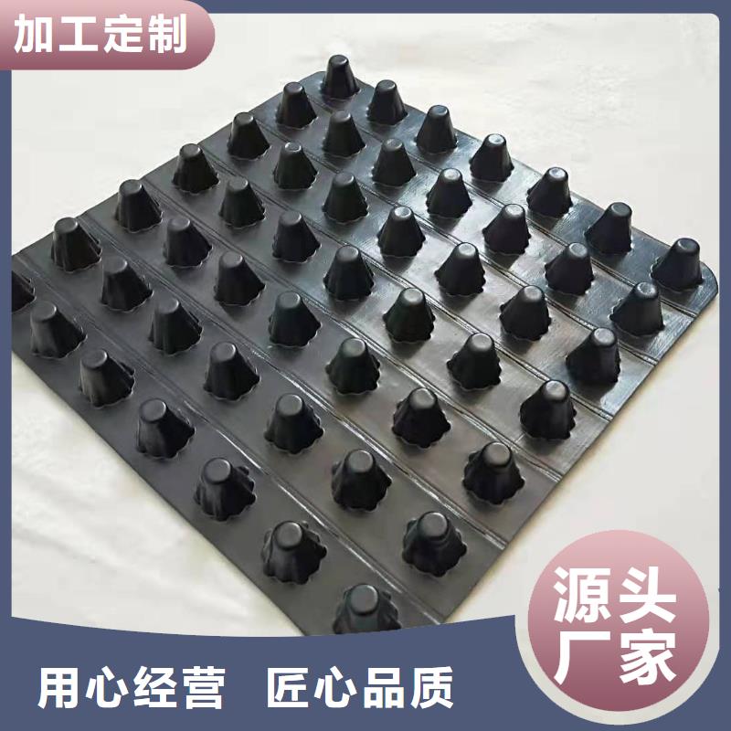 排水板植草格源头采购