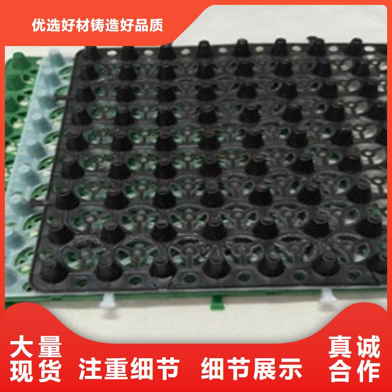 排水板【土工格栅】严选用料