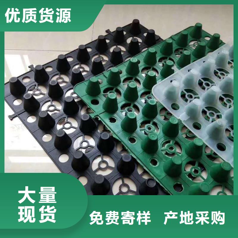 排水板-塑料盲沟管厂家供应