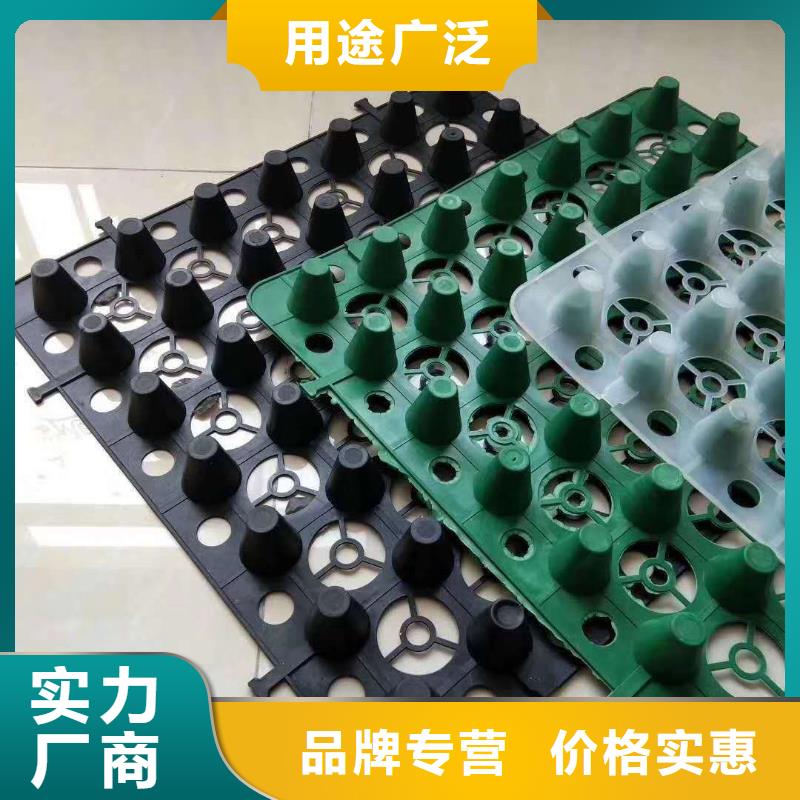 排水板_土工膜厂家品控严格