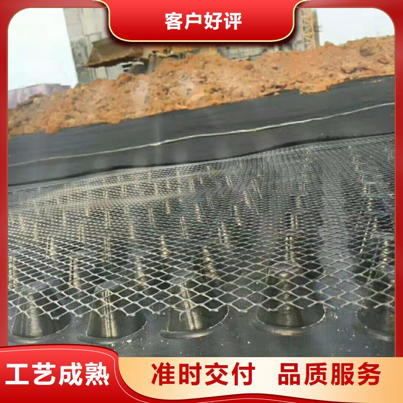 排水板植草格源头采购