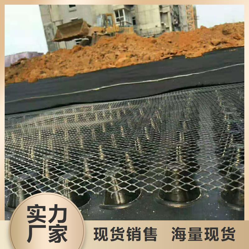 排水板蓄水板源厂直销
