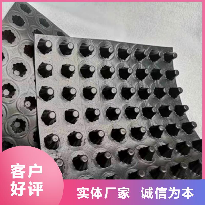 排水板蓄水板源厂直销