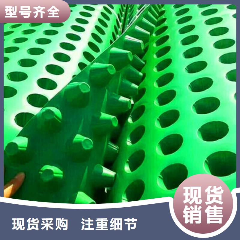 排水板植草格源头采购