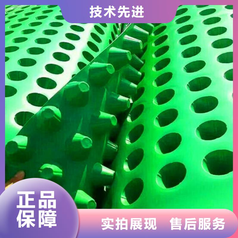 排水板_土工膜厂家品控严格
