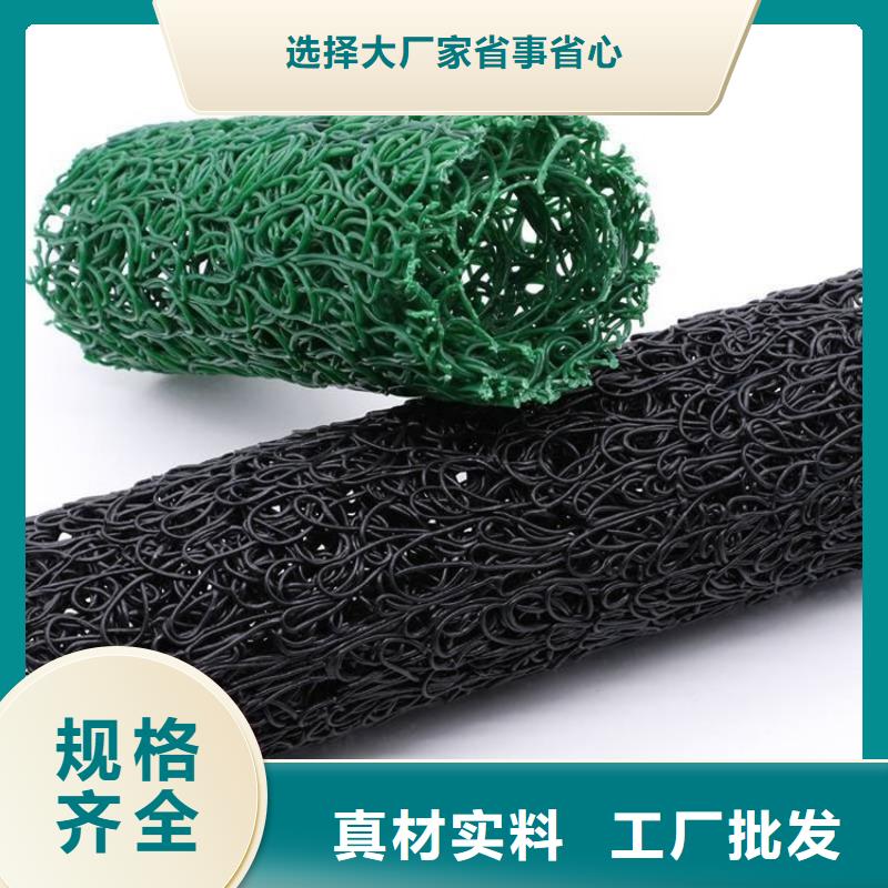 塑料盲沟 三维植被网现货批发