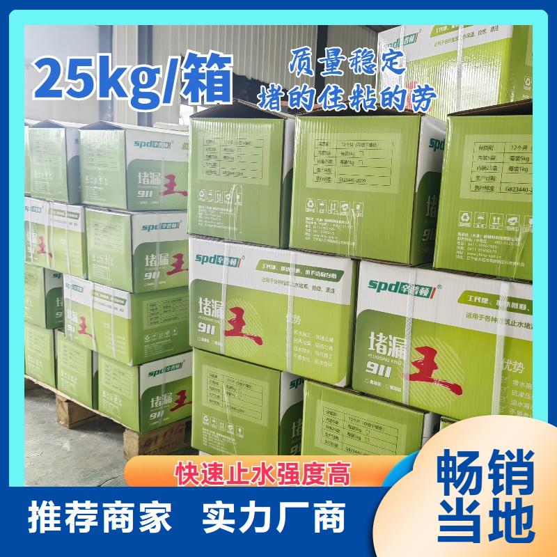 速凝堵漏王型号齐全