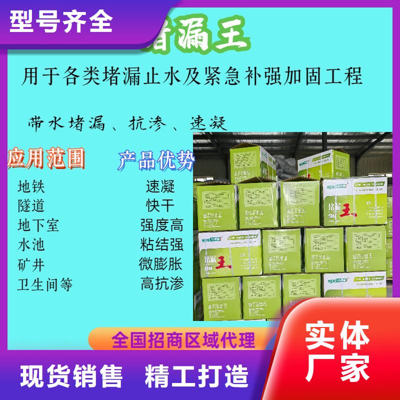 速凝堵漏王型号齐全
