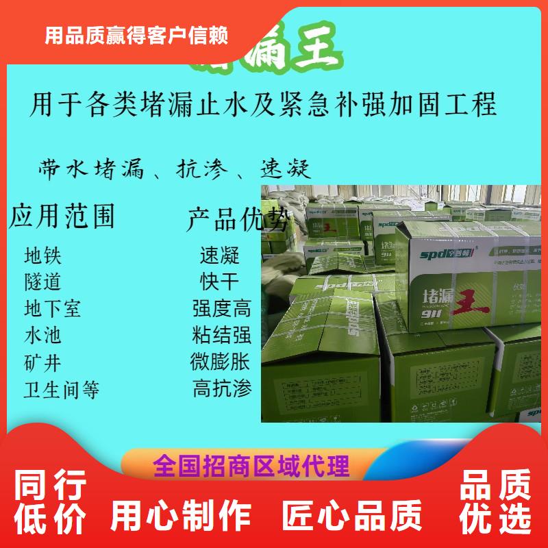 速凝堵漏王型号齐全