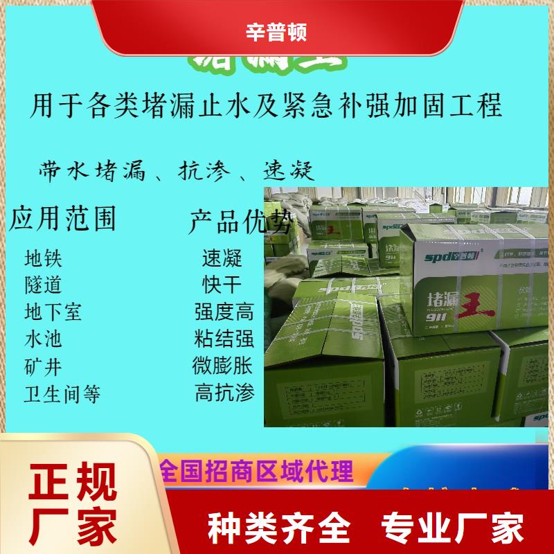 速凝堵漏王型号齐全
