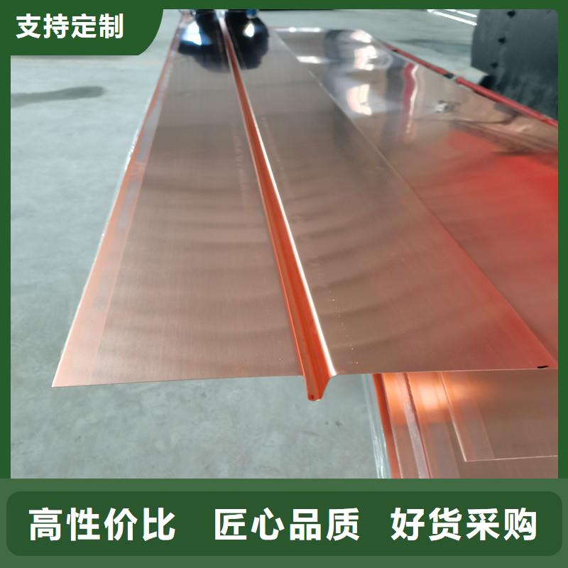 铜片止水来厂考察