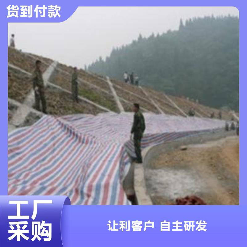正规聚乙烯彩条布生产厂家